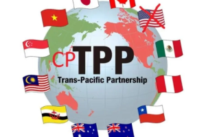 CPTPP可能在部分自貿(mào)試驗(yàn)區(qū)和海南自貿(mào)港先行先試